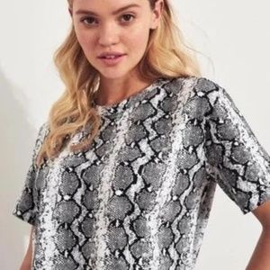 Hollister S Snake Print Short Sleeve Crop Top